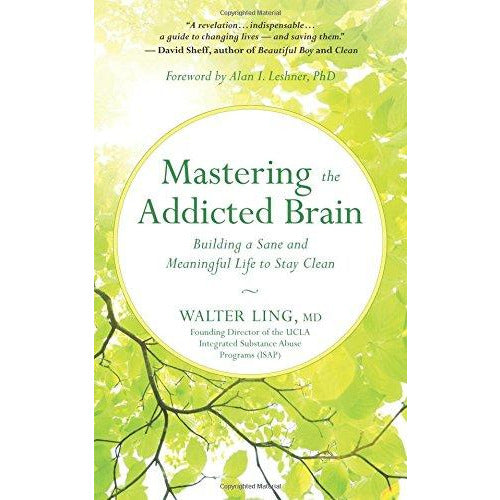 Mastering the Addicted Brain: Building a Sane and Meaningful Life - The Book Bundle
