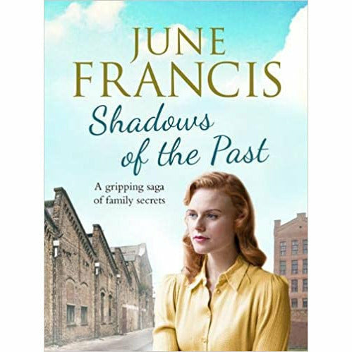 June Francis  4 Books Collection Set (Another Man,Someone,Where There,Shadows) - The Book Bundle