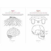 The Secret Language of Anatomy - The Book Bundle