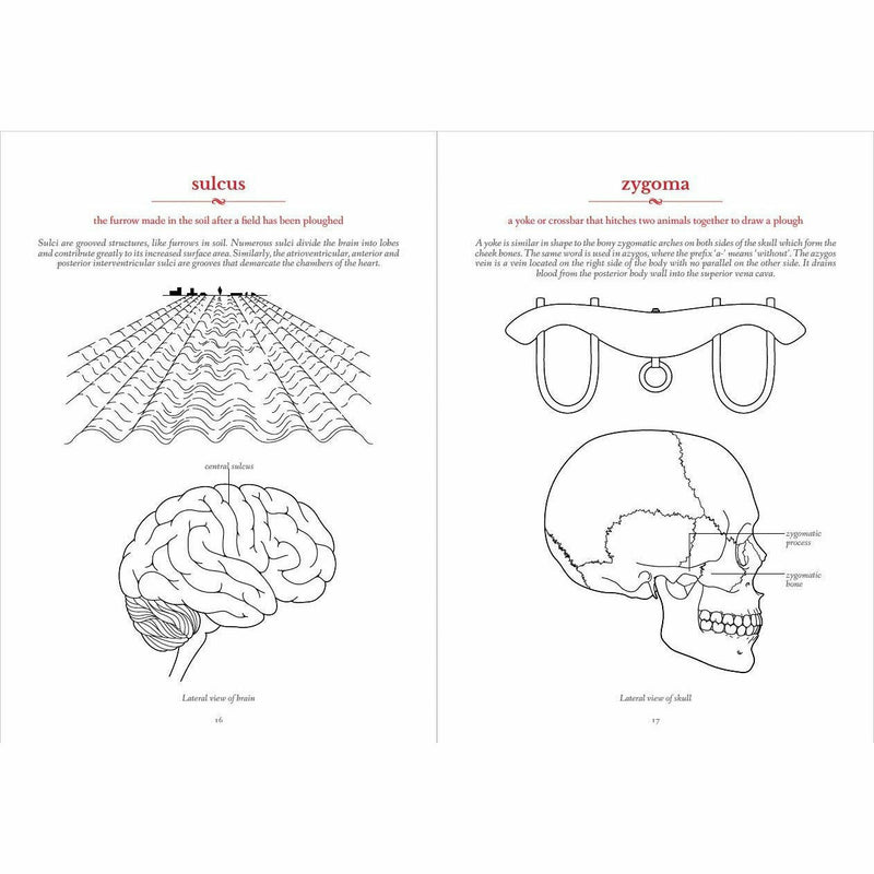 The Secret Language of Anatomy - The Book Bundle