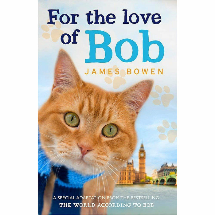 Bob The Cat Series Books 1 - 5 Collection Set by James Bowen (A Street Cat Named Bob, The World According to Bob, A Gift From Bob, Bob No Ordinary Cat & For the Love of Bob) - The Book Bundle