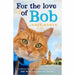 Bob The Cat Series Books 1 - 5 Collection Set by James Bowen (A Street Cat Named Bob, The World According to Bob, A Gift From Bob, Bob No Ordinary Cat & For the Love of Bob) - The Book Bundle