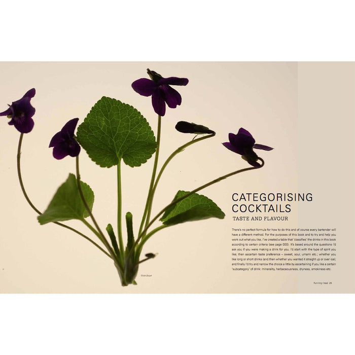 The Modern Cocktail: Innovation + Flavour - The Book Bundle