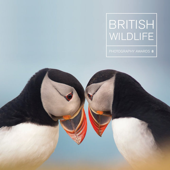British Wildlife Photography Awards 8 - The Book Bundle