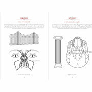 The Secret Language of Anatomy - The Book Bundle