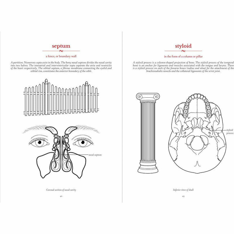The Secret Language of Anatomy - The Book Bundle