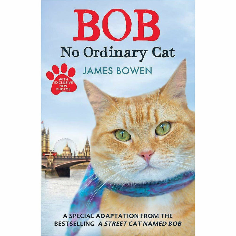 Bob The Cat Series Books 1 - 5 Collection Set by James Bowen (A Street Cat Named Bob, The World According to Bob, A Gift From Bob, Bob No Ordinary Cat & For the Love of Bob) - The Book Bundle