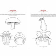 The Secret Language of Anatomy - The Book Bundle
