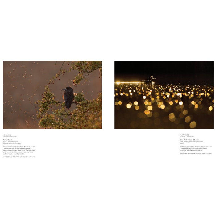 British Wildlife Photography Awards 8 - The Book Bundle