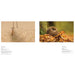 British Wildlife Photography Awards 8 - The Book Bundle