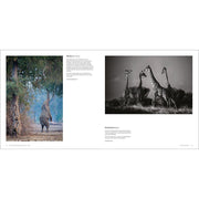 Outdoor Photographer of the Year: Portfolio 1 - The Book Bundle