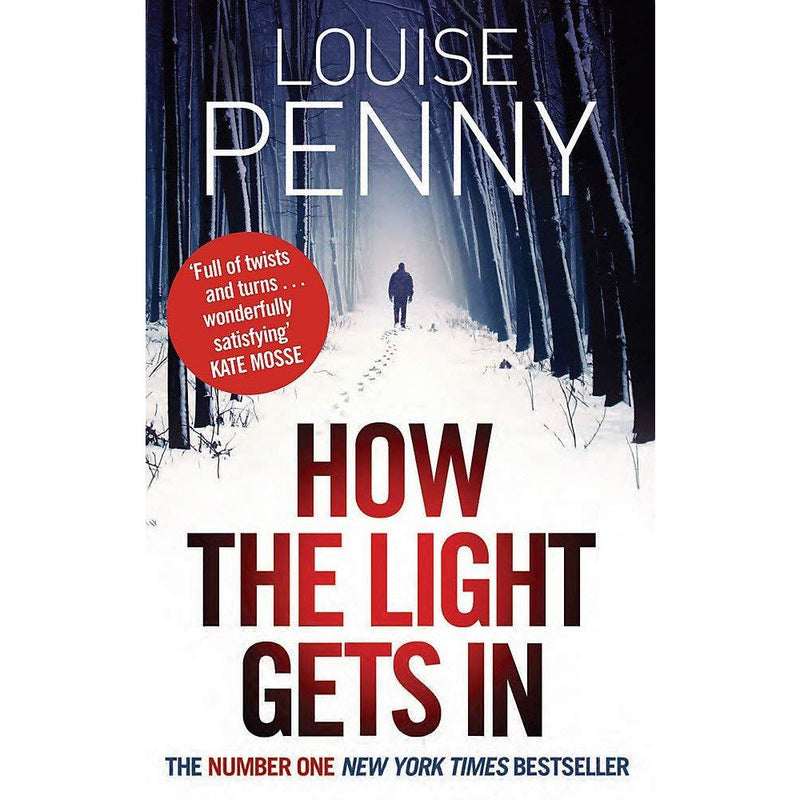 Chief Inspector Gamache Series 6-10 Collection 5 Books Set (Bury Your Dead, A Trick Of The Light, Beautiful Mystery, How The Light Gets In) - The Book Bundle