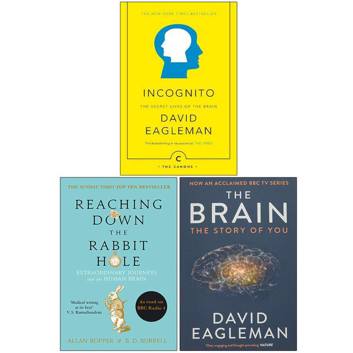 Incognito The Secret Lives of The Brain, Reaching Down The Rabbit Hole, The Brain The Story of You 3 Books Collection Set - The Book Bundle