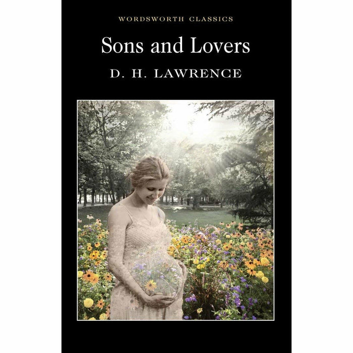 D. H. Lawrence Collection 4 Books Set (Women in Love, The Rainbow, Sons and Lovers, Lady Chatterley's Lover) - The Book Bundle