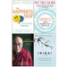 The Happiness Trap, Happiness, The Art of Happiness, [Hardcover] Ikigai The Japanese secret to a long and happy life 4 Books Collection Set - The Book Bundle