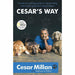 Cesar's Way: The Natural, Everyday Guide to Understanding and Correcting Common Dog Problems - The Book Bundle