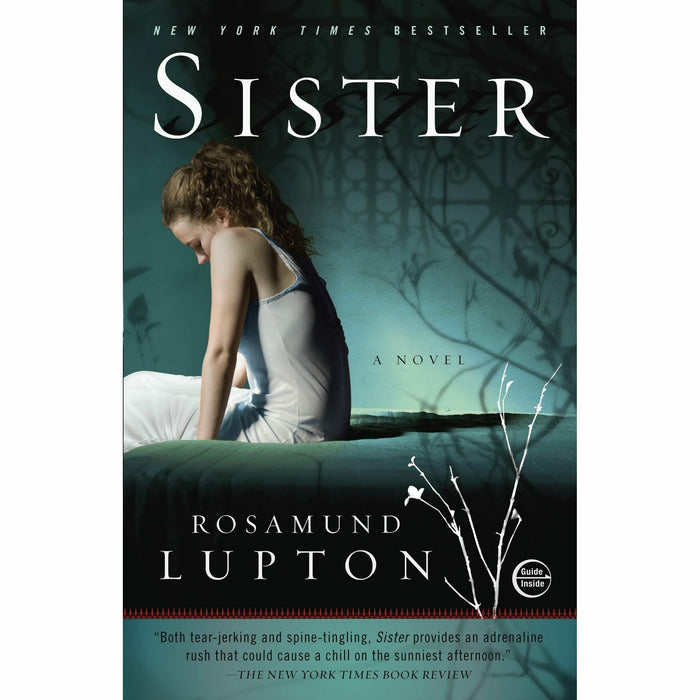 Rosamund Lupton 3 Books Collection Set (Three Hours, Afterwards, Sister) - The Book Bundle