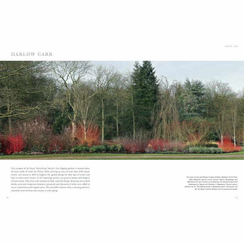 Winter Gardens: Reinventing the Season - The Book Bundle