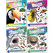 DK Findout! Series with Fun Facts and Amazing Pictures 4 Books Collection Set (Birds, Bugs, Sharks, Reptiles and Amphibians) - The Book Bundle