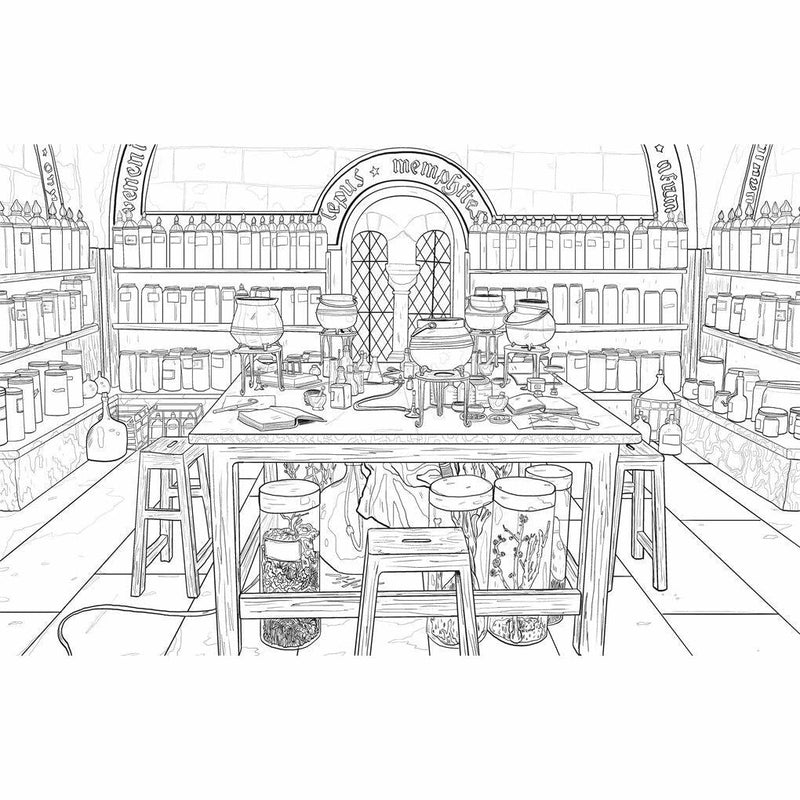 Harry Potter Magical Places and Characters Colouring Book 3 by Warner Brothers, featuring detailed illustrations of iconic scenes and characters.
