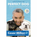 How to Raise the Perfect Dog: Through Puppyhood and Beyond - The Book Bundle