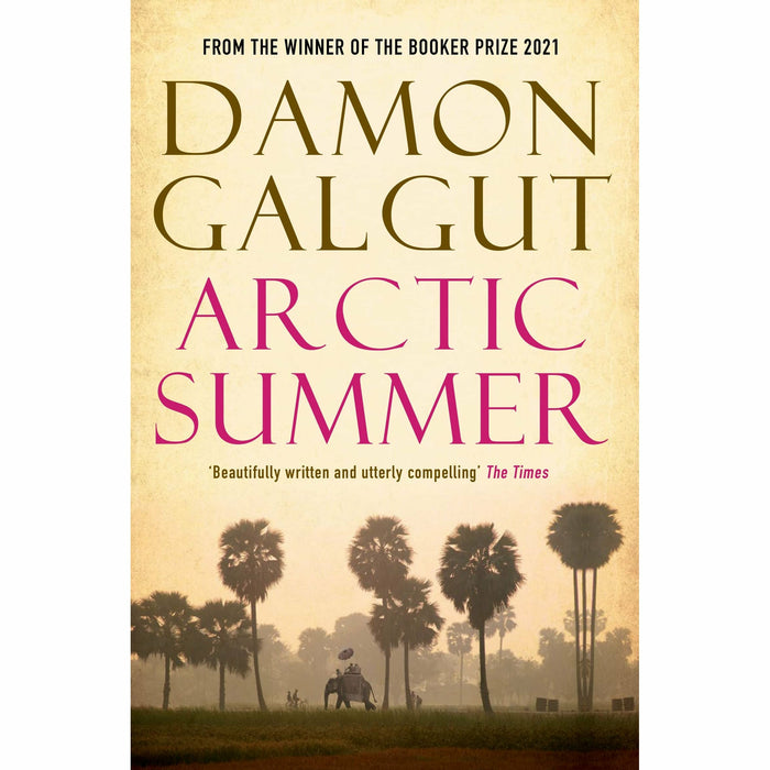 THE PROMISE Series By Damon Galgut 4 Books Set (Promise, Arctic Summer, In a Strange Room, The Impostor) - The Book Bundle