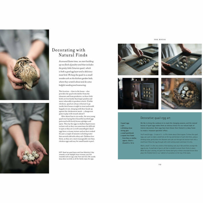 The New Homesteader: How to create a self-sufficient home farm - The Book Bundle