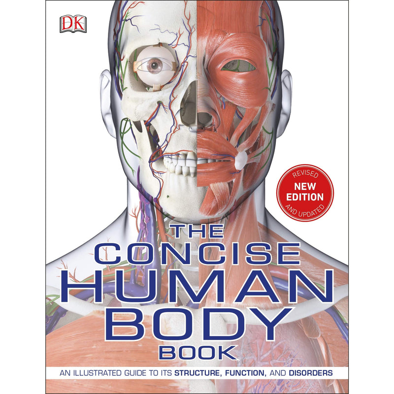 Illustrated cover of The Concise Human Body Book by DK, showing a detailed diagram of the human anatomy on a paperback cover.