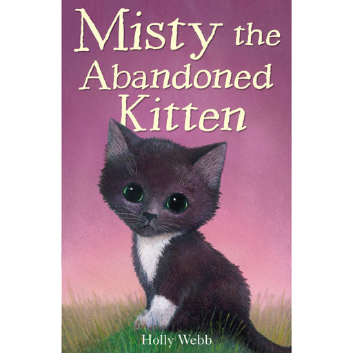 Misty the Abandoned Kitten: 14 (Holly Webb Animal Stories, 14) by Holly Webb - The Book Bundle