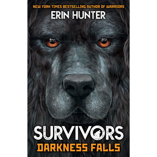 Survivors Book 3: Darkness Falls (Mysteries & Detective Stories) by Erin Hunter - The Book Bundle