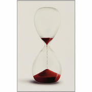 Twilight Saga (Five book set) - The Book Bundle