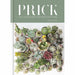 Plant love and prick cacti and succulents [hardcover] 2 books collection set - choosing, styling, caring - The Book Bundle