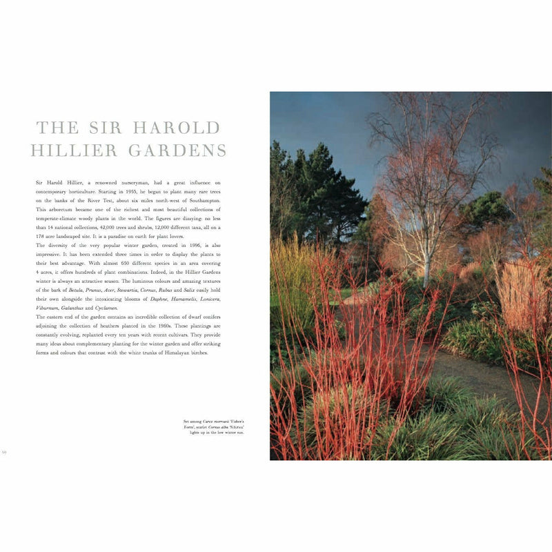 Winter Gardens: Reinventing the Season - The Book Bundle