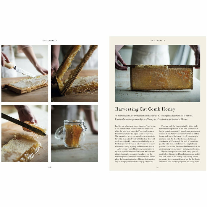 The New Homesteader: How to create a self-sufficient home farm - The Book Bundle