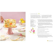 The Painted Cake: Transform cakes, cookies and cupcakes into edible work of art - The Book Bundle