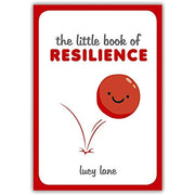 Lucy Lane The Little Book Collection 3 Books Set (Resilience, Comfort, Adulthood guide) - The Book Bundle