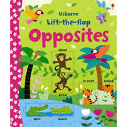 Set of four Usborne lift-the-flap nonfiction books by Felicity Brooks featuring colorful pages and interactive flaps for kids.