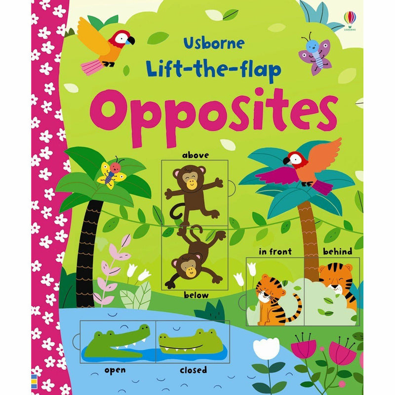 Set of four Usborne lift-the-flap nonfiction books by Felicity Brooks featuring colorful pages and interactive flaps for kids.
