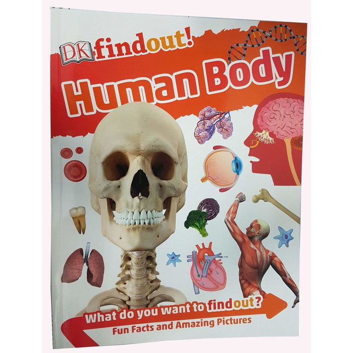 DK Findout! Series with Fun Facts and Amazing Pictures 6 Books Collection Set (Dinosaurs, Animals, Earth, Human Body, Science, Solar System) - The Book Bundle