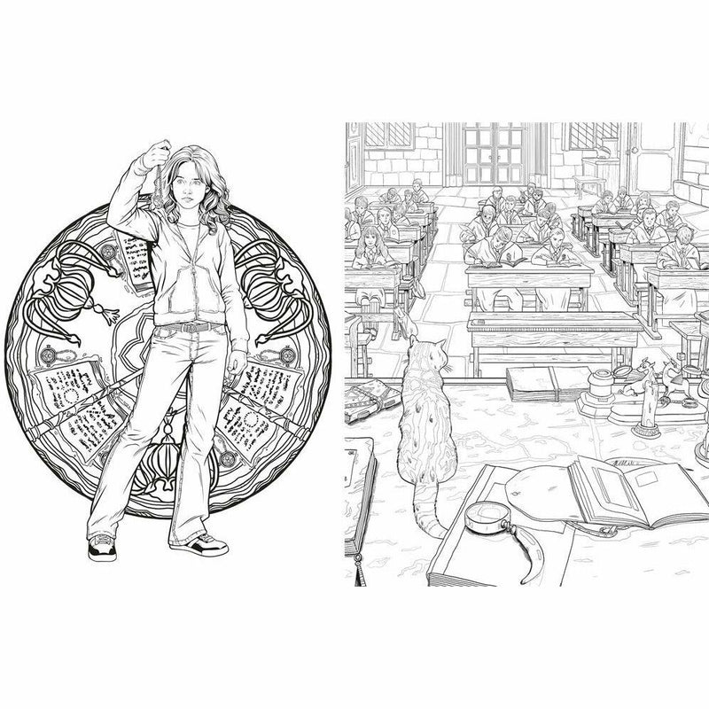 Harry Potter Magical Places and Characters colouring book by Warner Brothers, featuring illustrated scenes from the wizarding world.