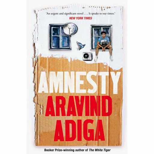 Amnesty - The Book Bundle