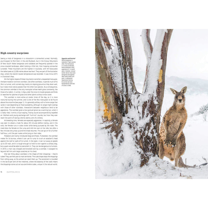 Seven Worlds One Planet - The Book Bundle