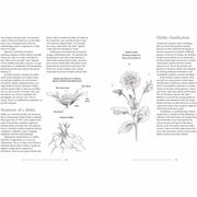 Dahlias: Beautiful varieties for home and garden (Beautiful Varieties/Home/Gardn) - The Book Bundle
