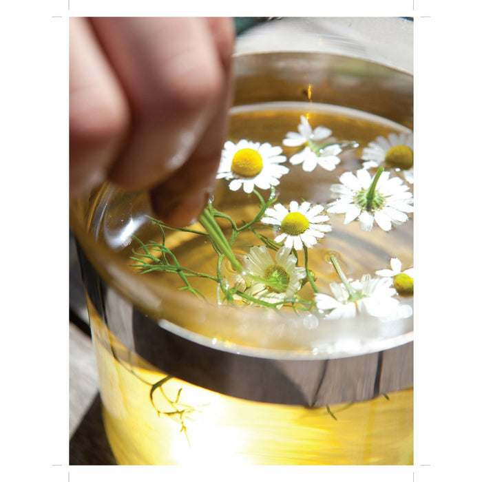 James Wong's Homegrown Revolution - The Book Bundle