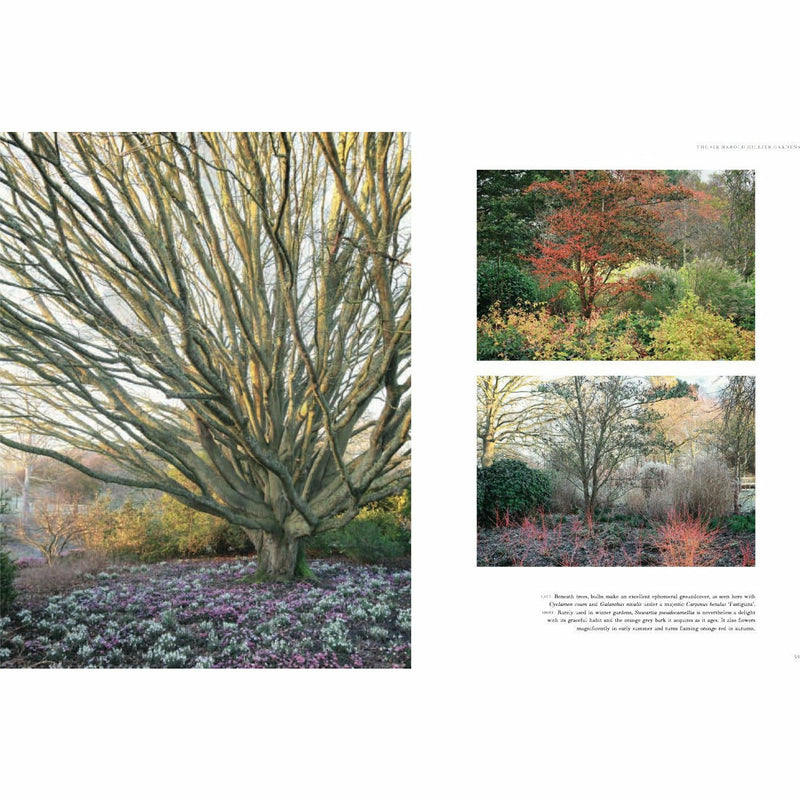 Winter Gardens: Reinventing the Season - The Book Bundle