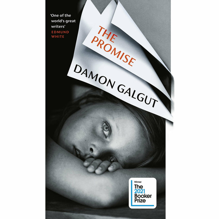 THE PROMISE Series By Damon Galgut 4 Books Set (Promise, Arctic Summer, In a Strange Room, The Impostor) - The Book Bundle