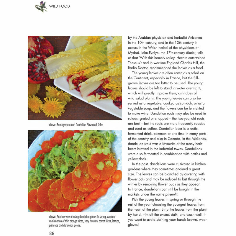 Hardcover of "Wild Food: A Complete Guide for Foragers" by Roger Phillips, featuring detailed illustrations of edible wild plants.