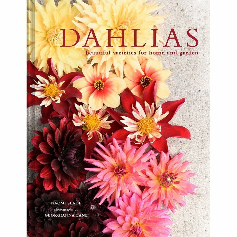 Dahlias: Beautiful varieties for home and garden (Beautiful Varieties/Home/Gardn) - The Book Bundle