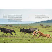 Dynasties: The Rise and Fall of Animal Families (TV Tie in) - The Book Bundle
