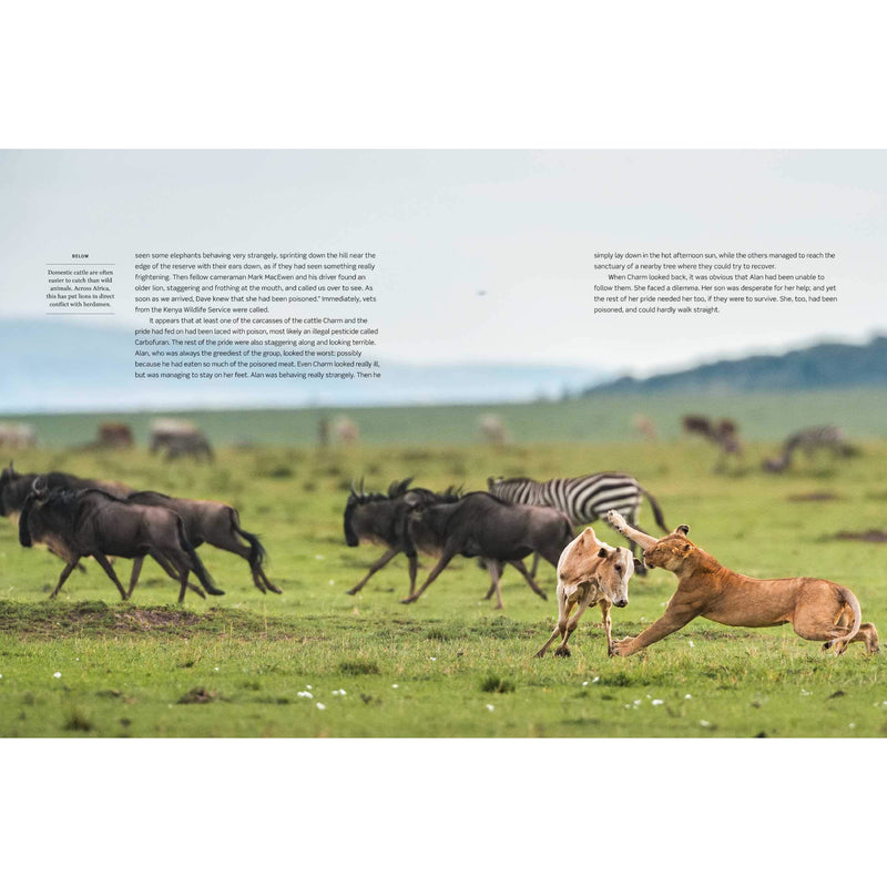 Dynasties: The Rise and Fall of Animal Families (TV Tie in) - The Book Bundle
